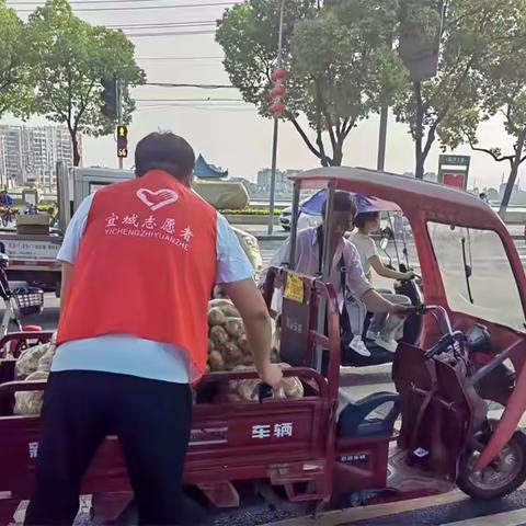 宜城市新时代文明实践中心2024年5月工作掠影