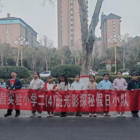 光影探秘·点亮美好 实验小学二（4）班雏鹰假日小队路灯与节庆灯饰主题实践活动