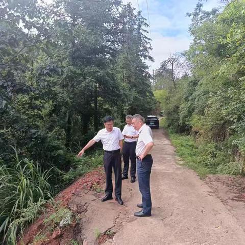 县委书记实地察看民生难题 现场督办人大代表意见建议落实