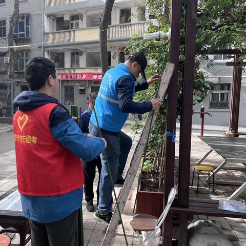 【莲湖★枣园】搭建美丽花架，点亮和谐家园