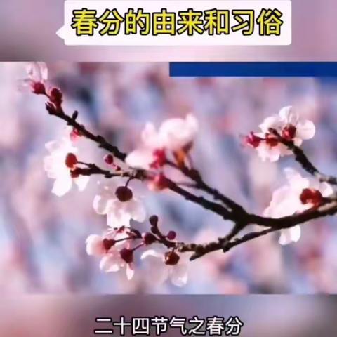 【浐灞学前教育】西安浐灞金苗幼儿园小班组——“春分”节气系列活动