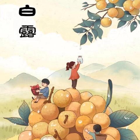 蒹葭苍苍 白露为霜—高各庄幼儿园白露主题活动