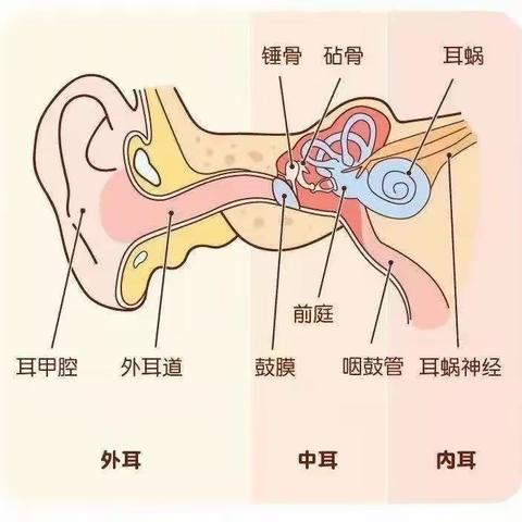 “爱耳护耳、聆听美好”——白音一幼爱耳教育主题活动