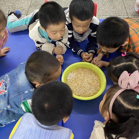 浓浓豆香味  美味豆腐花