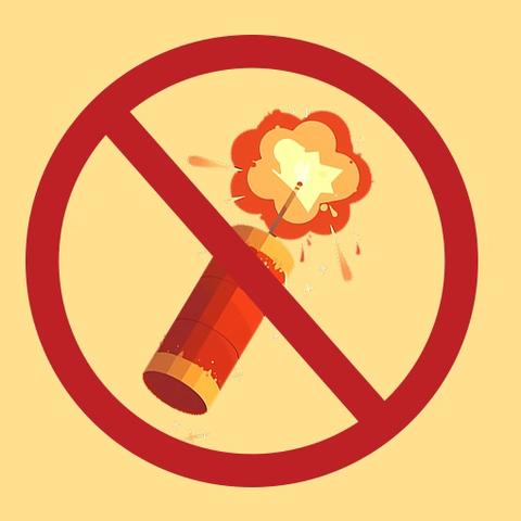 【安全提示】禁燃禁放，从我做起——八步区幼儿园第二分园“禁止燃放烟花爆竹”安全宣传