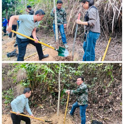文明实践 | 琼韵畅好 “植”此青绿——畅好乡开展“3·12”植树节活动