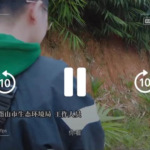 攻坚克难护路肩，清除槟榔保安全 ‍——畅好乡扎实推进县道两侧违规种植槟榔清理工作 ‍