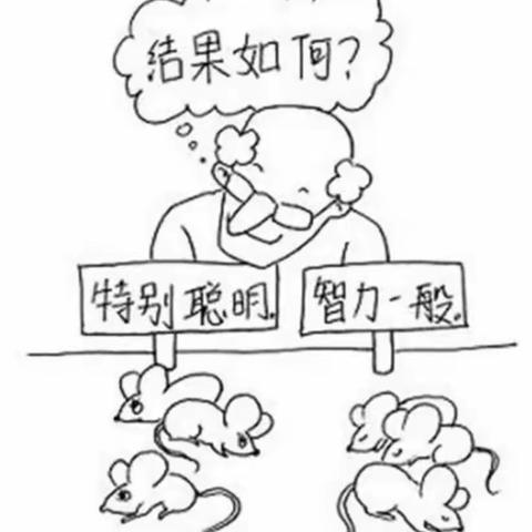 【德育课程•家长讲堂】绘画人生—山西省实验小学富力分校五年四班家长课堂进校园纪实