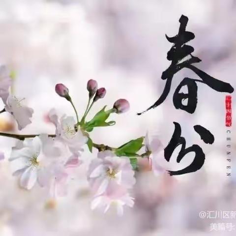 🌸平分春色，不负韶华🌸—刘诗昆万象新天幼儿园中班组