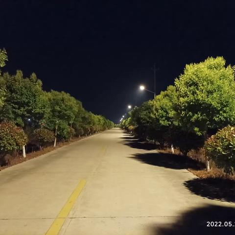 夜色中蟒蛇河