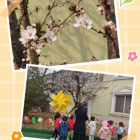 张开双臂，拥抱春天！