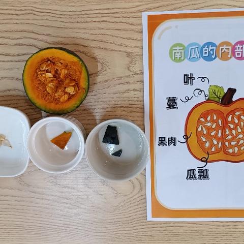 秋韵满仓 南瓜盛宴