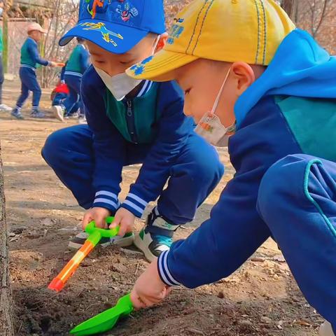 爱尔幼儿园—《感恩生命播种希望》户外主题活动