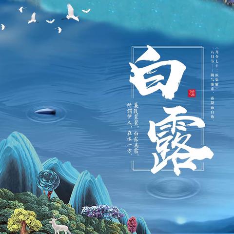 “白露降，秋意浓”市二幼莲花分园小一班节气活动