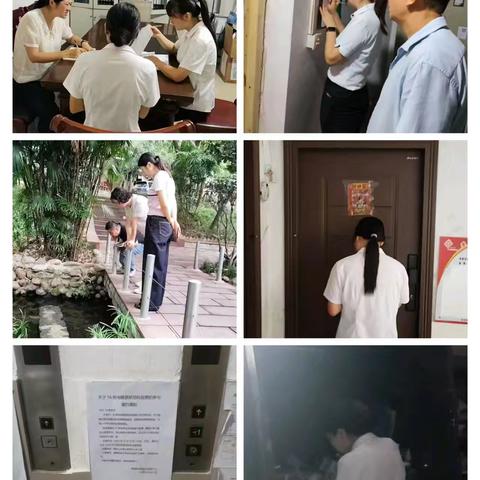 典雅物业麒龙山水管理处十月第二周周报