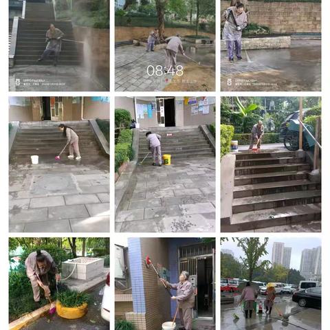 典雅物业麒龙山水管理处十一月第三周工作简报