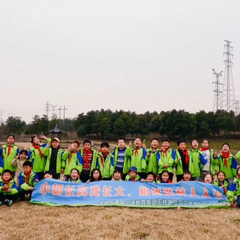 小树长高我长大，植树造林人人夸