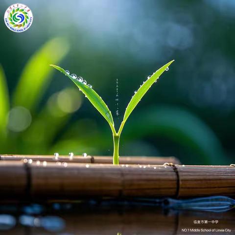 一中学子｜点开成长100%的进度条