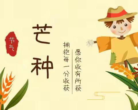 芒种 仲夏至，“芒”不停