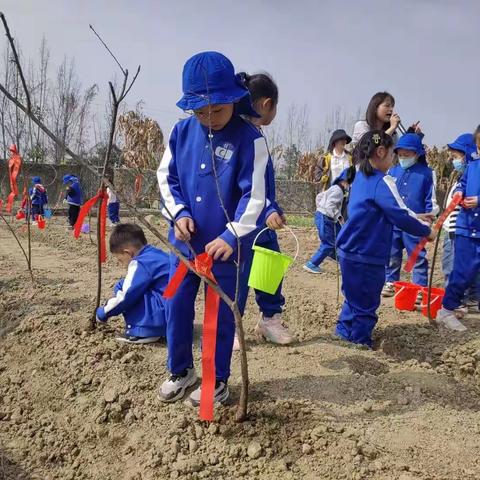 风林火山跆拳道研学旅行