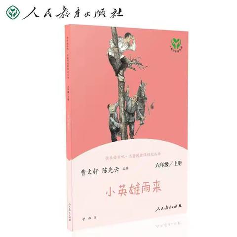 【七小·项目式学习】追寻雨来足迹，传承红色精神——《小英雄雨来》整本书阅读