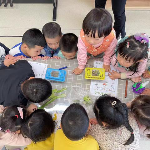 【蜗牛日记🐌】——廊坊经济技术开发区第一幼儿园芽芽班班本课程