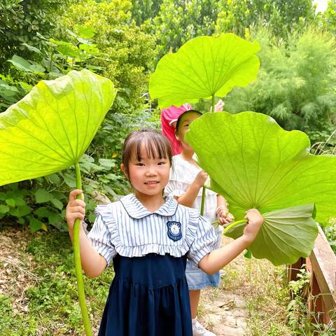 【二十四节气】万物向阳 夏至而至——星河宝贝幼儿园“夏至”节气主题活动