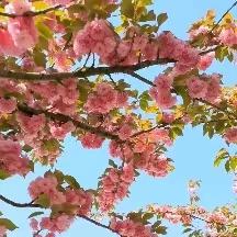 寻春天足迹，四月活动🌸