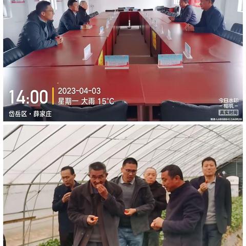 接山镇市派第一书记临时党支部召开4月份第一次双周例会