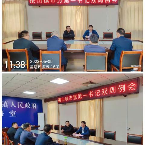 接山镇市派第一书记临时党支部召开五月份第一次双周例会