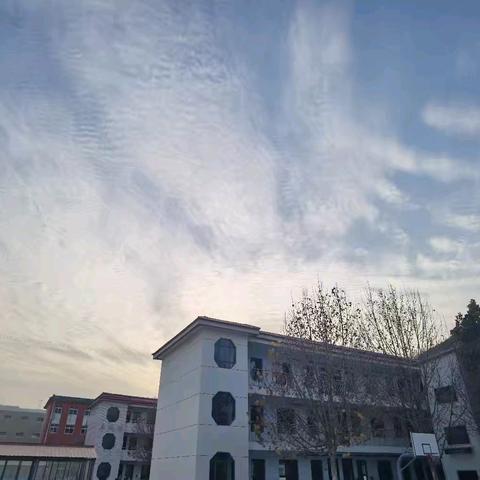 2025－2026学年上学期﻿七年级数学组工作总结