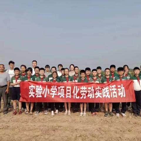 【全环境立德树人】乐陵市实验小学劳动教育——种玉米