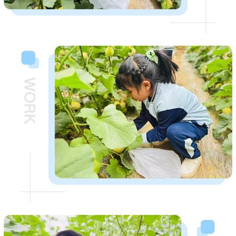 与春共舞 “童”行“趣”游—杨凌丝路之星幼儿园春游活动