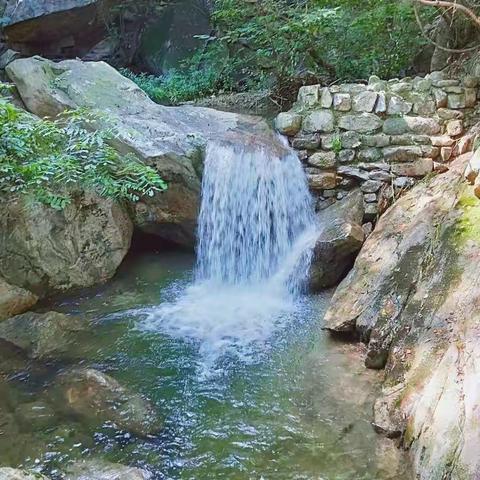 体验大自然主题研学旅行开始啦｜诗景龙潭峡赏花观景｜亲近动物喂兔捉鸡｜自己动手植树写贺卡｜素拓