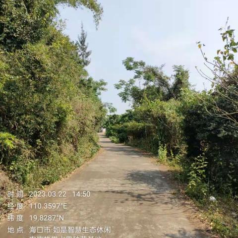 【质量考核--琼山农村五组3月22日】