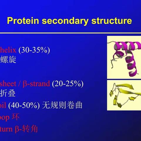 第四组：生物信息学