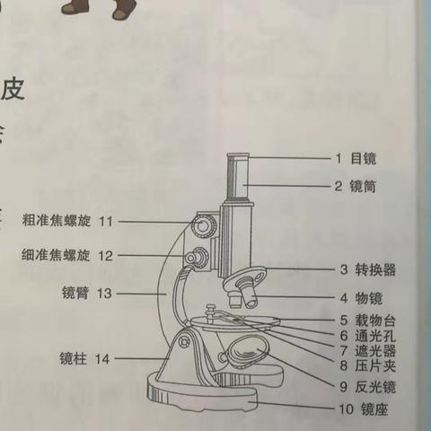 淇县太行小学组织学生观看“同上一堂科学课”授课直播