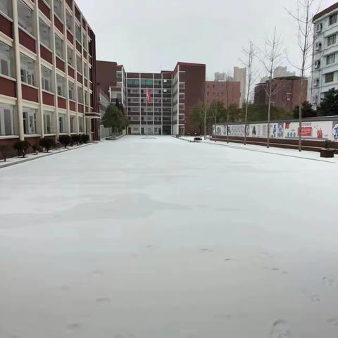 雪落校园景色美 携手除雪暖意浓