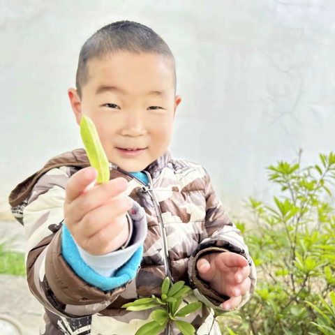 春天里——七幼小托班主题活动