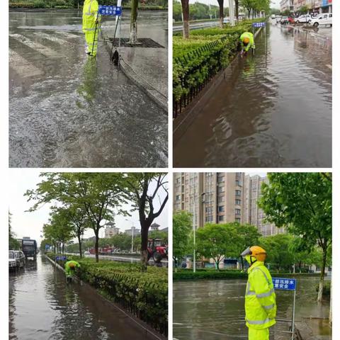不畏风雨，“迅”速出击----记风雨中忙碌在一线的环卫人