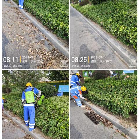 秋季清理除污去垢，创造优美人居环境