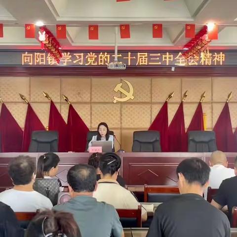 向阳镇学习宣传党的二十届三中全会精神