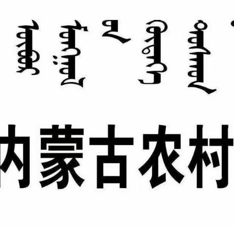 【巴林右旗联社精准营销落地辅导培训项目】--项目固化