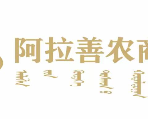 【阿拉善农商银行“客户经理精英团队专项培养”项目】