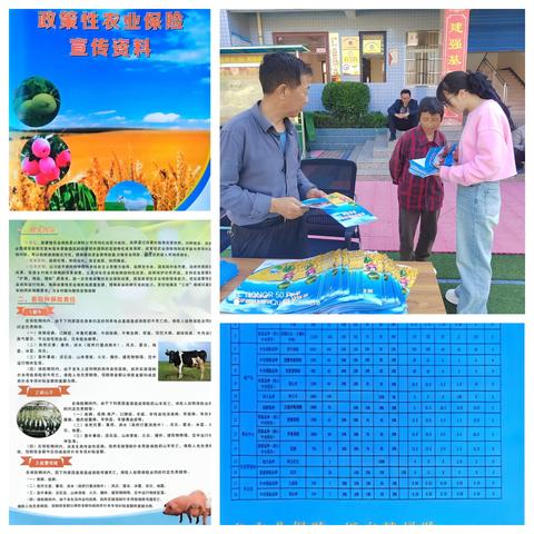 宣传政策性农业保险  撑起增收致富“保护伞”  ---东风财政所开展2024年度政策性农业保险宣传活动