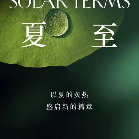 倏忽盛夏，一岁光阴
