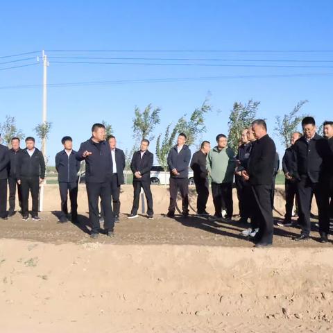 临河区覆膜秋浇和冬季保墒技术现场会