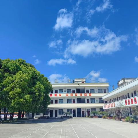 播种绿色，拥抱希望 ——马关县大栗树乡中心学校植树活动