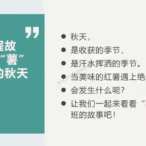 【“薯”与我们的秋天】 ——经开区北阳幼儿园大班挖红薯户外实践活动