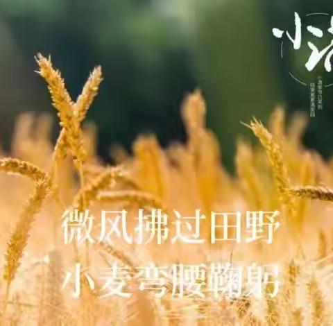 夏“味”渐盛，小得盈“满”——小二班二十四节气之“小满”纪实活动